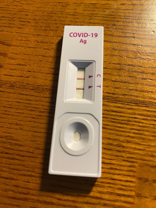 コロナワクチンを2回接種したのに感染 それでも感じた効果とは ロシアから世界を見る 前谷宏 毎日新聞 政治プレミア