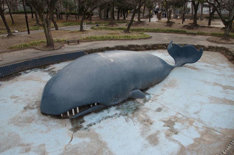 噴水グラキリス。鯨プランター。 名古屋のクジラ池噴水、一宮の瑞芳院本堂と庫裏 国の登録文化財に答申