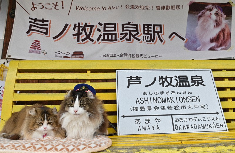 駅のベンチから列車を見送る2代目名誉駅長「らぶ」(右)とアテンダント「さくら」の兄妹=福島県会津若松市の会津鉄道・芦ノ牧温泉駅で2021年4月14日、三浦研吾撮影
