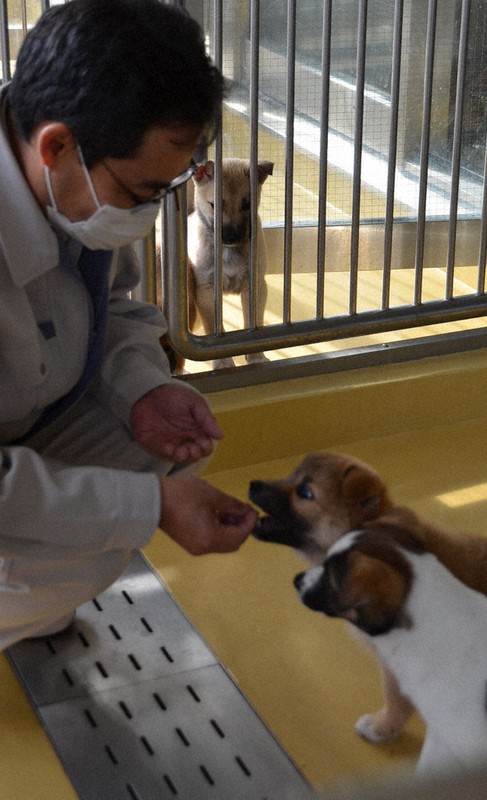 イチゴいちえ 全ての命に愛される義務 栃木 毎日新聞