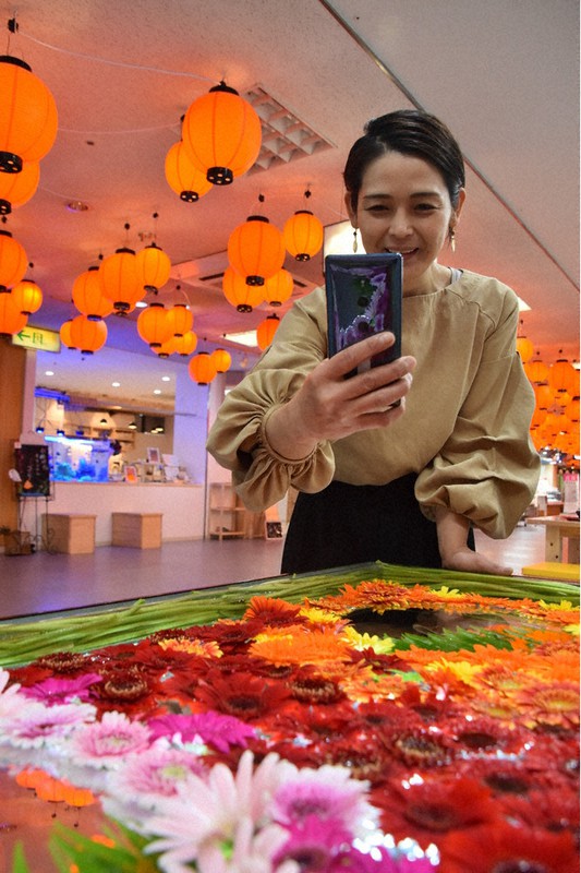 水に浮かぶ花畑 毎月下旬開催 伊勢 めおと横丁 三重 毎日新聞