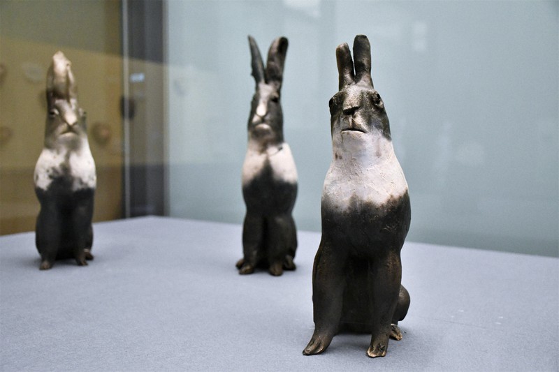 人間と動物、土で生き生きと表現 奈良美智さんら5人作品展 滋賀 [写真