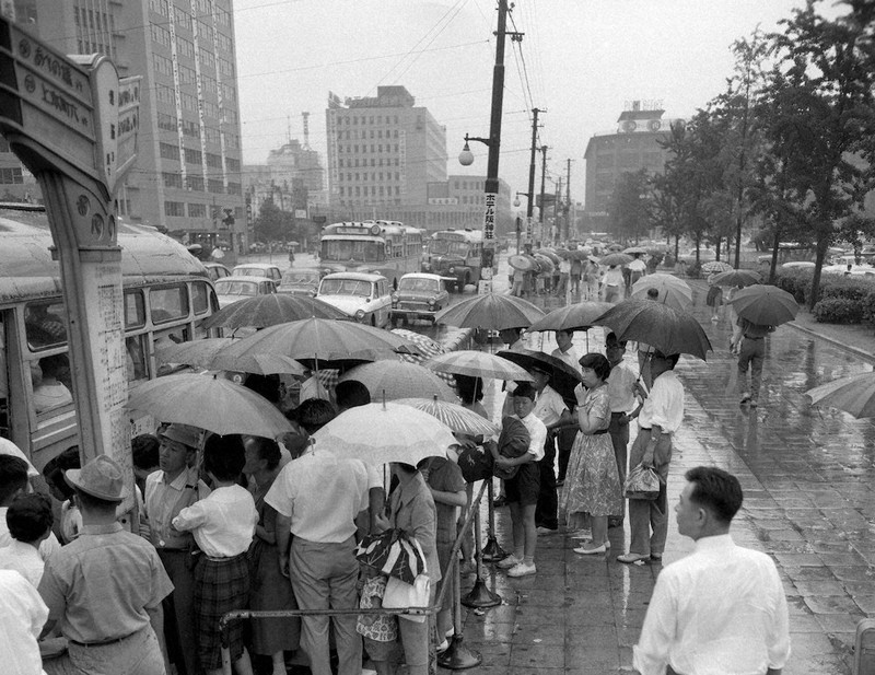 久しぶりの雨で混雑する大阪駅前のバス停留所。道路も車でいっぱいだ=1961年7月29日撮影