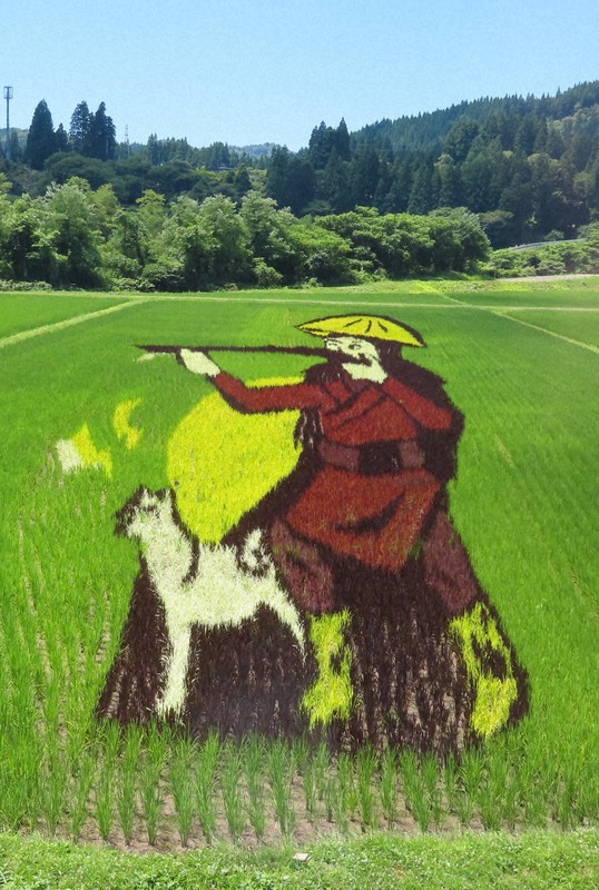 雪ん子からキティちゃんまで 秋田内陸線、田んぼアート見ごろ [写真