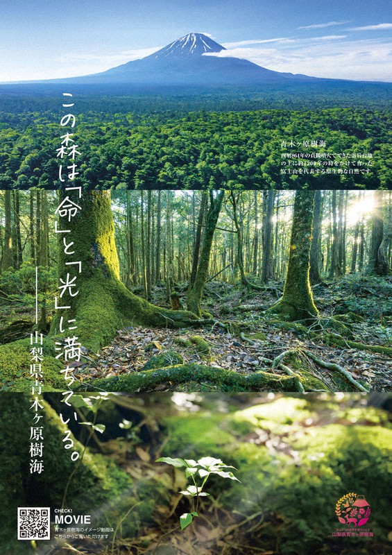 山梨県が制作した青木ケ原樹海のイメージアップポスター=県提供