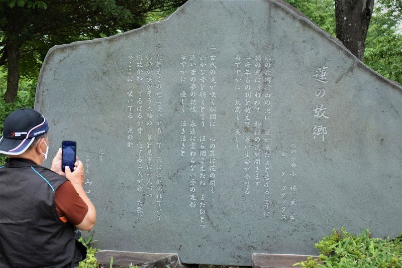 実際に見て作ったの 小林亜星さん作詞作曲 蓮の故郷 行田で愛唱年 古代蓮の里 ミステリー 埼玉 毎日新聞