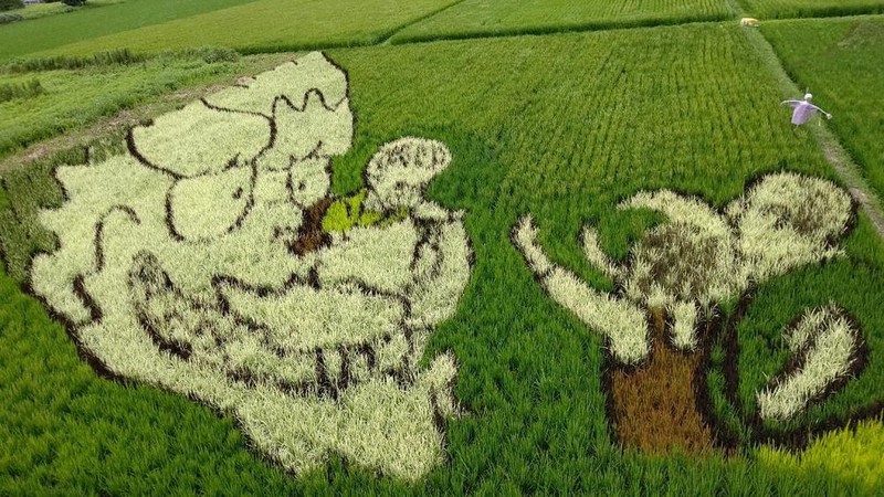 大村勇貴さんの絵本「うーちゃんのまつざき」のラストシーンが採用された2020年の「田んぼアート菊川」=藤田春美さん提供