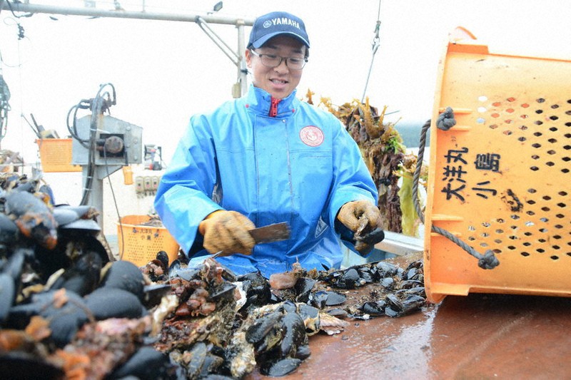 船上でカキに付着したムール貝を取り除く作業をする三浦さん=宮城県石巻市雄勝町で2021年7月9日午前10時26分、深津誠撮影