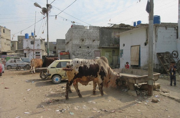 パキスタン 最大都市カラチ 藻谷氏の 残念な体験 藻谷浩介の世界 来た 見た 考えた 藻谷浩介 毎日新聞 経済プレミア