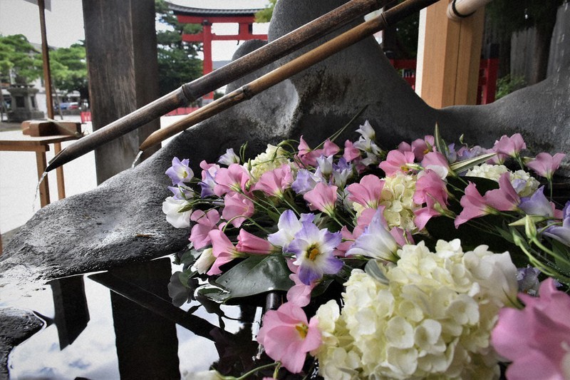 色鮮やかな花手水は季節ごとに花の種類が変わる=盛岡市八幡町の盛岡八幡宮で2021年8月11日、日向米華撮影