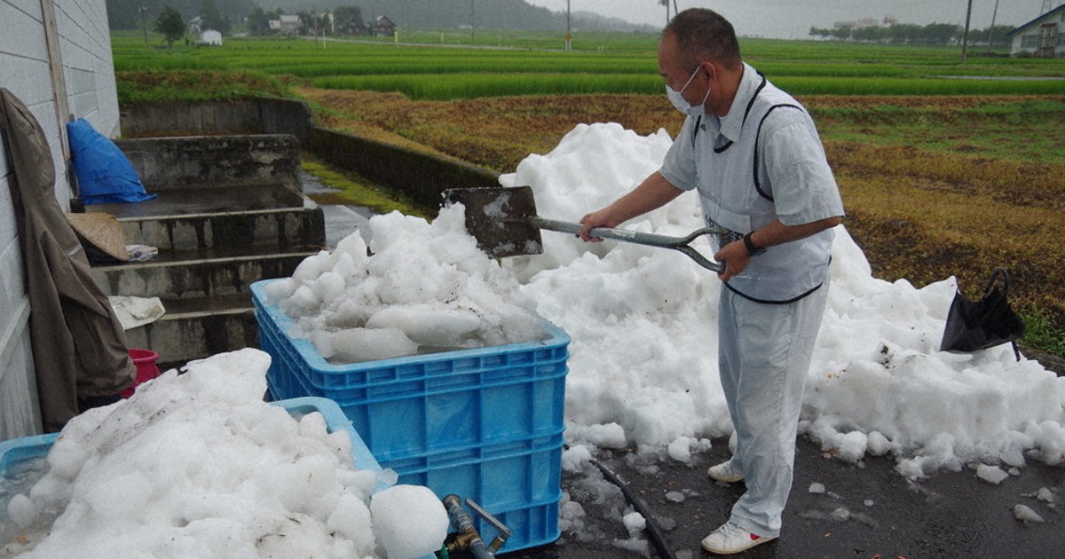 上海の天気 気温 服装 旅行のベストシーズン