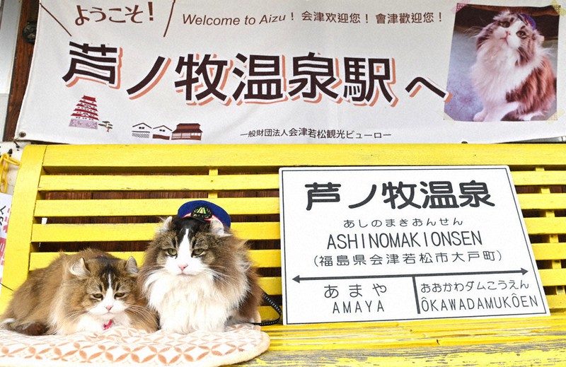 会津鉄道・芦ノ牧温泉駅のベンチから列車を見送る2代目名誉駅長「らぶ」(右)とアテンダント「さくら」の兄妹=福島県会津若松市の同駅で2021年4月、三浦研吾撮影