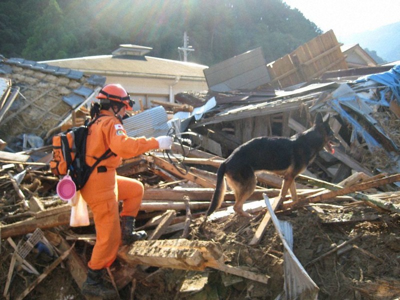 紀伊半島豪雨１０年 ミックの雄姿 絵本に 紀南へ出動の災害救助犬 三重の田中さん 活動知って 和歌山 毎日新聞