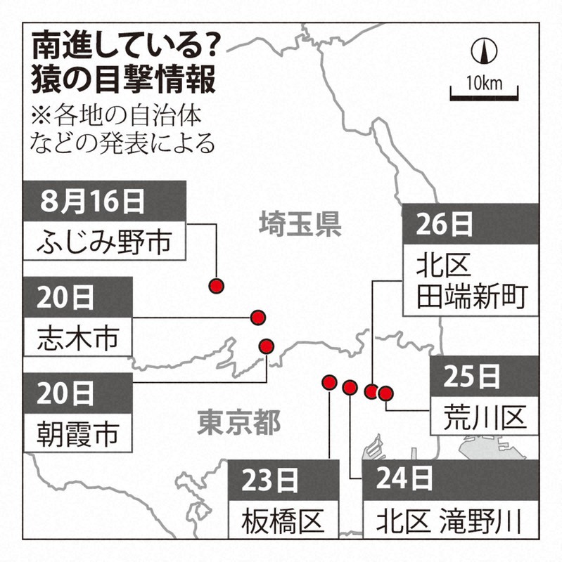 サルを見た 東京 北区で複数の目撃情報 埼玉から移動か 毎日新聞