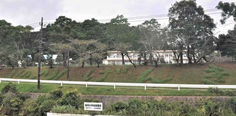 心和む雑草アート 校庭土手沿いに げんき 草刈り機で描く 毎日新聞