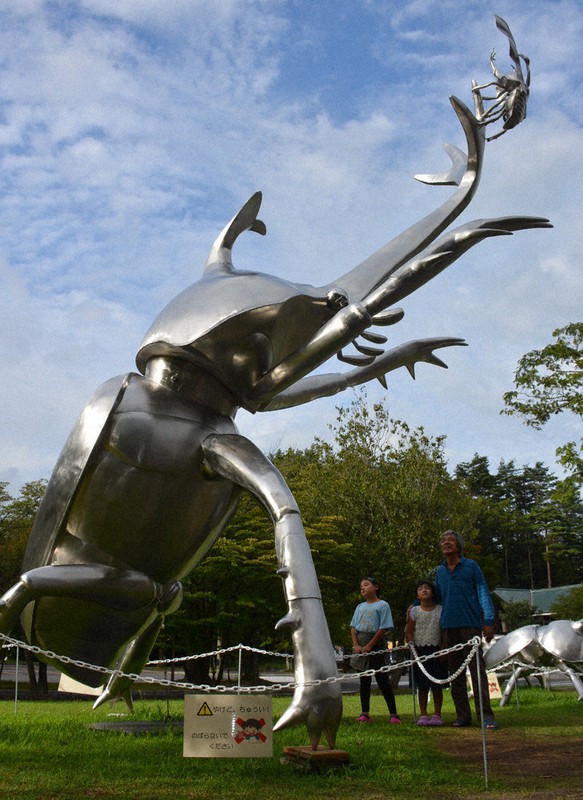 山陰・撮っておき：大田市 迫力満点、姿精巧に 巨大な昆虫彫刻 ／島根