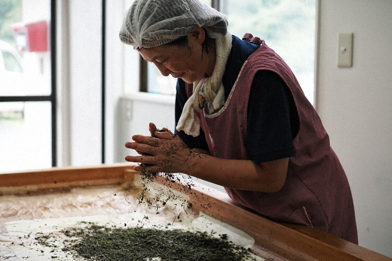 手もみ製茶法での「もみ切り」の工程を行う梶原啓子さん=秋田県能代市檜山地区で2021年7月撮影