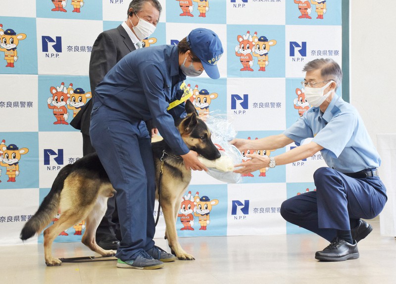 登山で行方不明の阪大教授発見に貢献 警察犬ジューク号に感謝状 毎日新聞