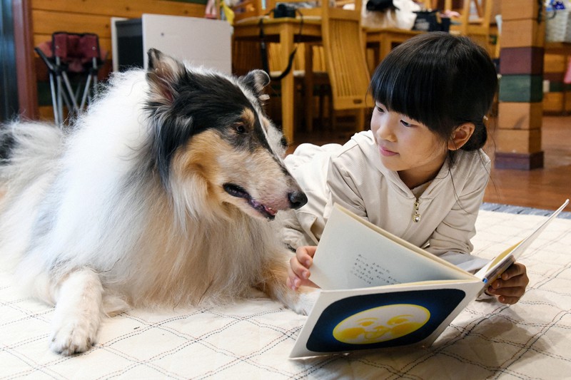 読む写真：耳を傾け 心を寄せて 読書介助犬 [写真特集1/4] | 毎日新聞