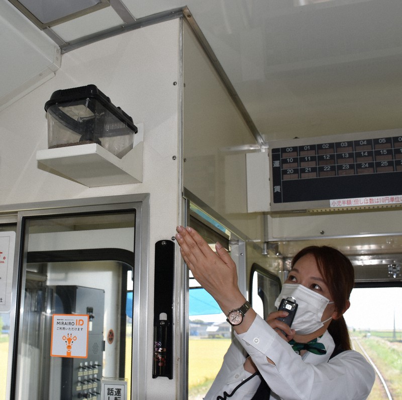 乗客に、車内のスズムシを紹介する乗務員=青森県五所川原市の津軽鉄道で2021年9月5日午後0時34分、江沢雄志撮影