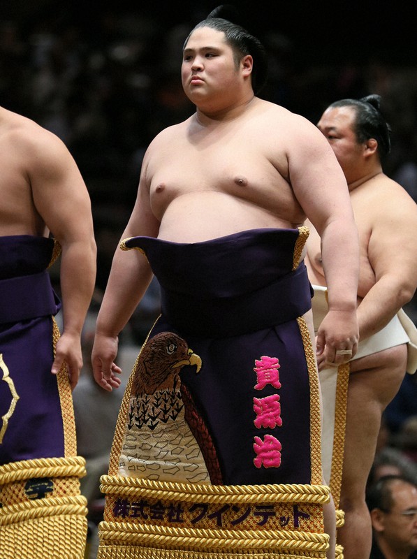 Sumo wrestling grand highlights image