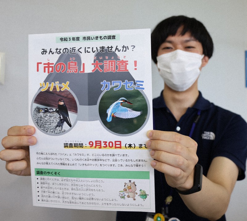 ツバメの巣とカワセミの目撃情報提供を呼びかけるチラシ=兵庫県丹波篠山市役所で、幸長由子撮影