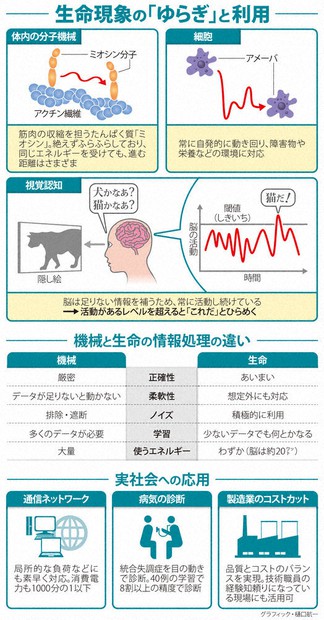 科学の森：応用進む生命固有の「ゆらぎ」 柔軟性利用、融通の利く機械