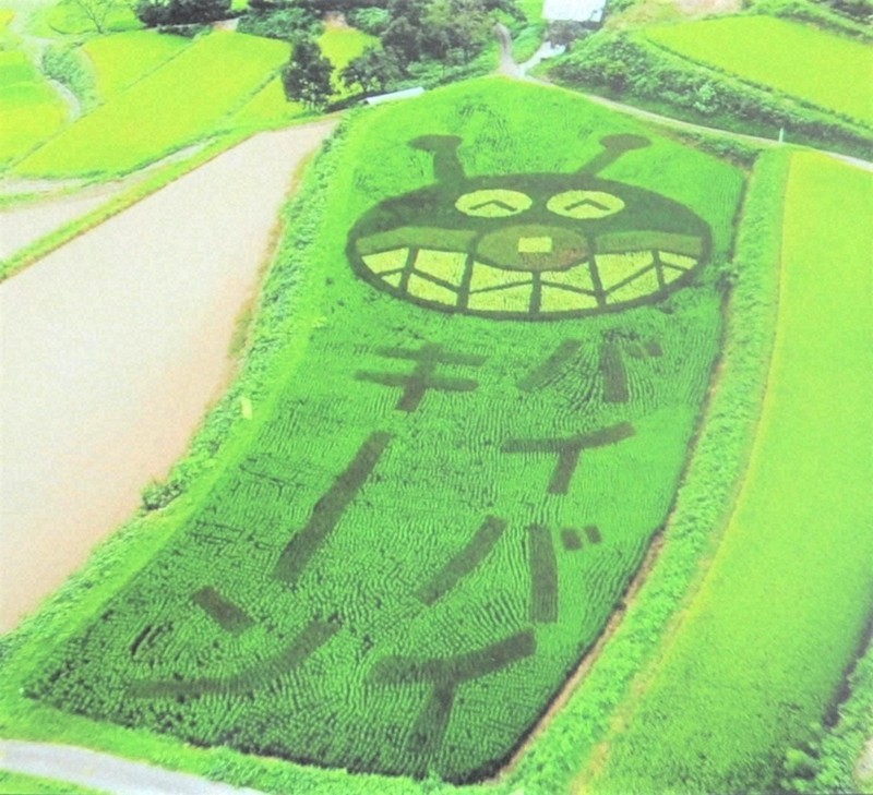 「ばいきんまん」が浮かび上がった田んぼアート=宮崎県高千穂町総合政策課のユーチューブチャンネルから(小型無人機で撮影)
