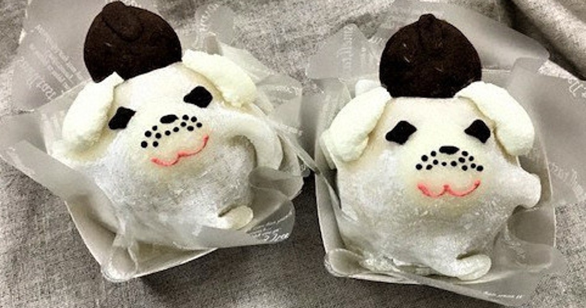 聖徳太子1400年遠忌 雪丸 和栗ケーキに 毎日個限定販売 王寺 奈良 毎日新聞