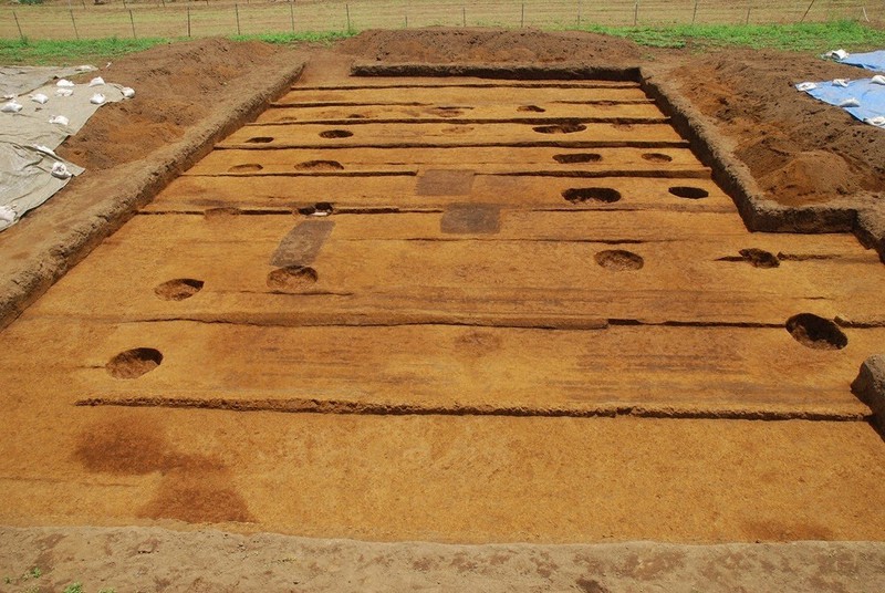 下総国分尼寺の伽藍地跡から南に約70メートルの位置で見つかった建物跡=千葉県市川市教委提供