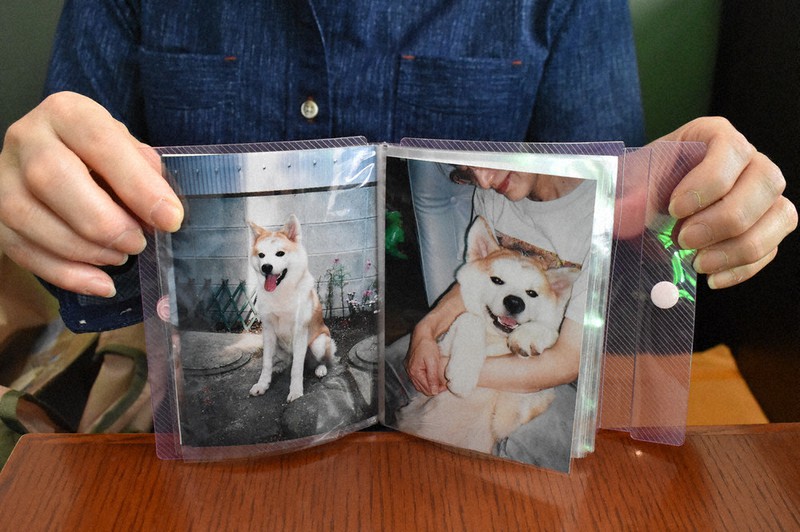 福岡市の女性が「こっちゃん」と呼んで可愛がった秋田犬の写真＝6月