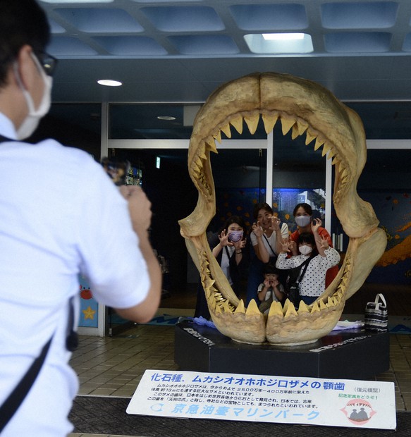 魚は巡る、人生の支えに・転機に 京急油壺マリンパーク、30日閉館