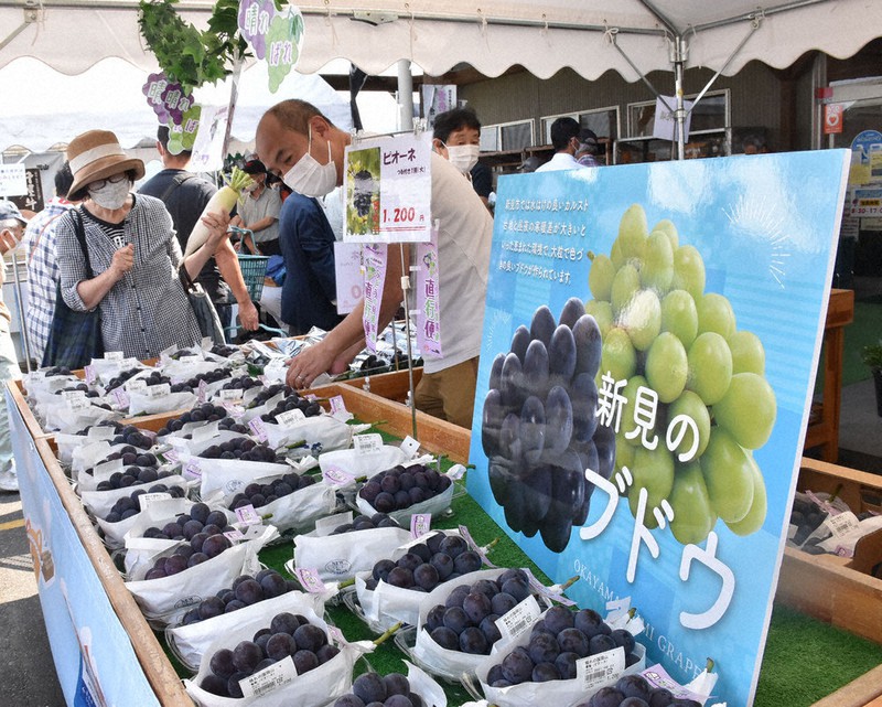 旬のピオーネや大根など新見市産の農産物などが並んだJA晴れの国岡山直売所「ふれあいの里」=岡山県総社市岡谷で、戸田紗友莉撮影