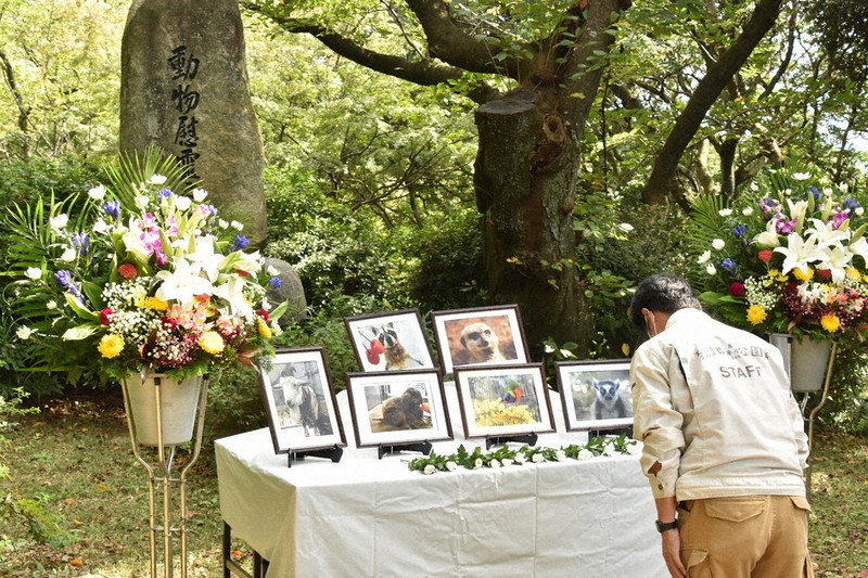 動物たちの慰霊祭 52頭 羽の冥福祈る 到津の森公園 福岡 毎日新聞