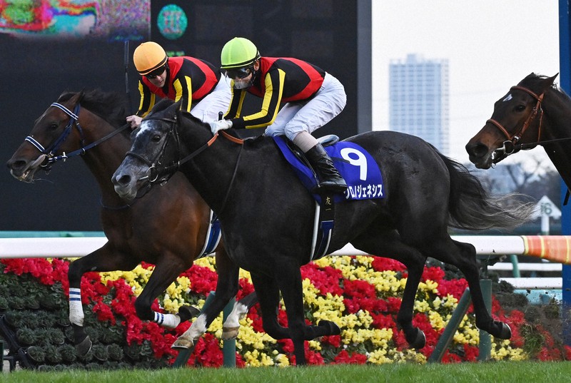 相棒は双眼鏡 凱旋門賞の舞台 フランス流 調教 に驚き 競馬ライター 井内氏 毎日新聞