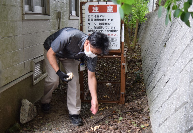 サル出没 新たに小学生1人襲われ軽傷 被害は計19人に 北九州 毎日新聞