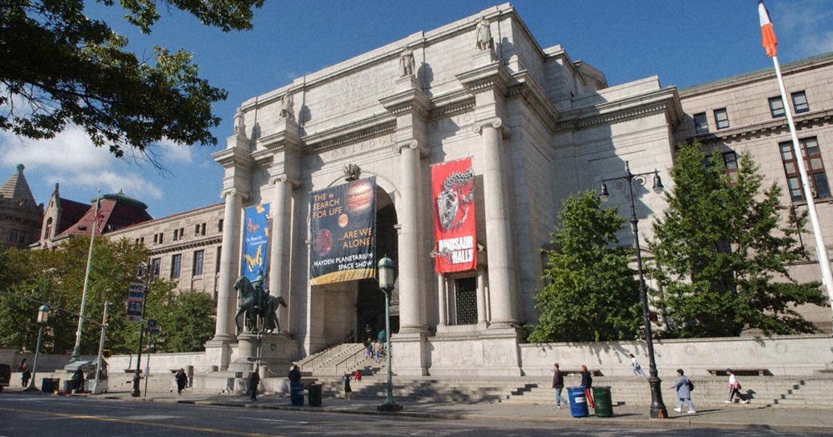 名作映画で世界旅行 ナイトミュージアム 夜の博物館で展示物が大暴れ 毎日新聞