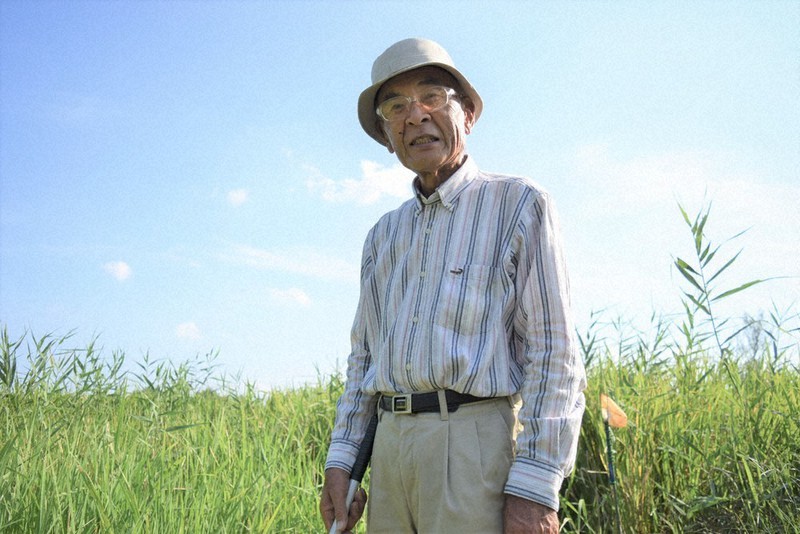 国内唯一のムジナモ自生地 100年 地道に守り育て 埼玉 羽生 毎日新聞