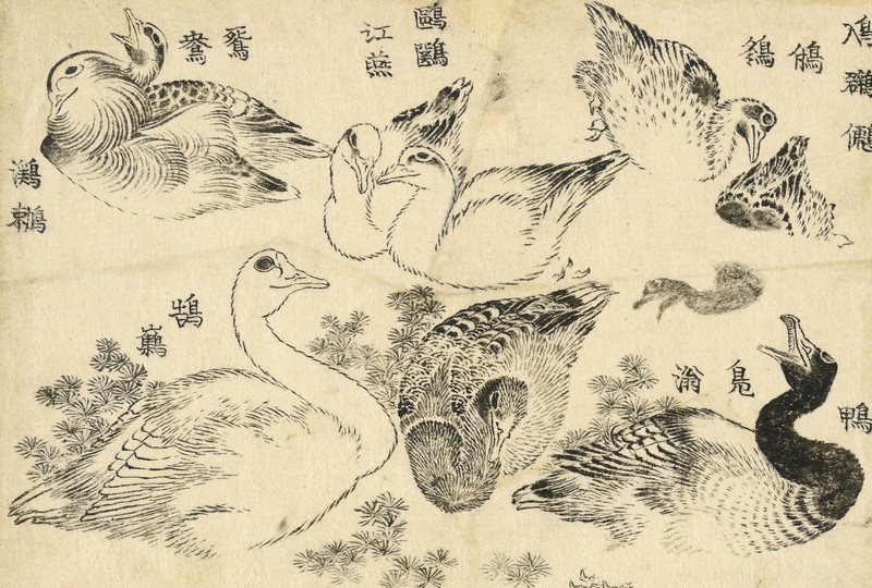 大英博物館　春画図版 大英博物館 春画 ( ) | 矢野 明子, 矢野 明子, 早川 聞多, 石上