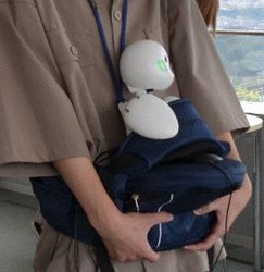 学生に抱っこされて構内を散策するOriHime。「どんなところを見てみたいですか?」。OriHimeを介してコミュニケーションをとりながらキャンパスを歩く