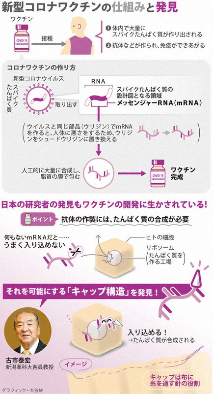 新型コロナワクチンの仕組みと発見