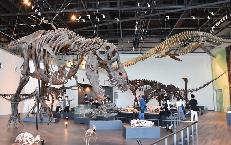 長崎恐竜博物館、開館まで1カ月 国内初の化石も 報道向け公開 | 毎日新聞