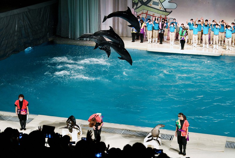 東洋一の大水槽」お別れに5300人 京急油壺マリンパーク閉館 | 毎日新聞