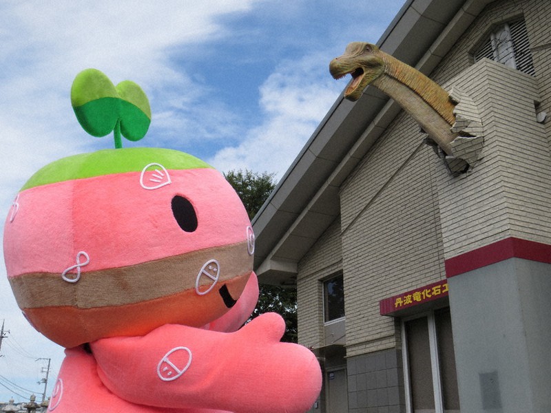 ゆるキャラらんど ちーたん 兵庫県丹波市 毎日新聞