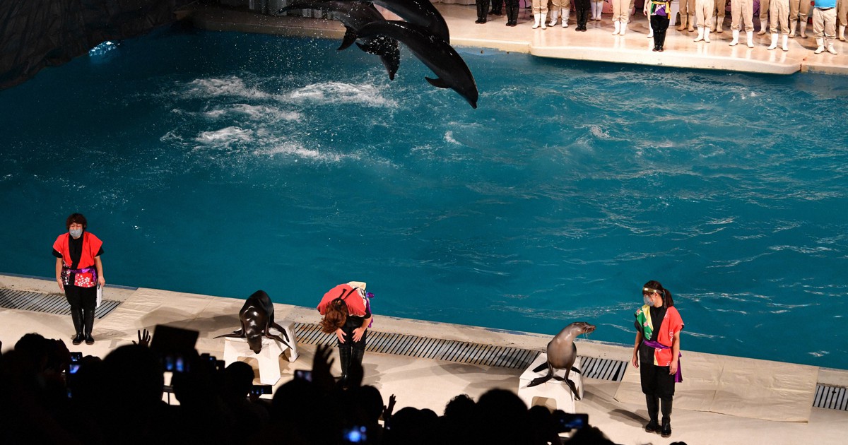 油壺マリンパーク 53年の歴史に幕 [写真特集1/7] | 毎日新聞
