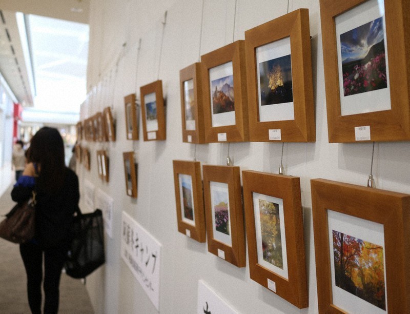 四季折々の阿蘇の写真が並ぶ「阿蘇観光写真展」