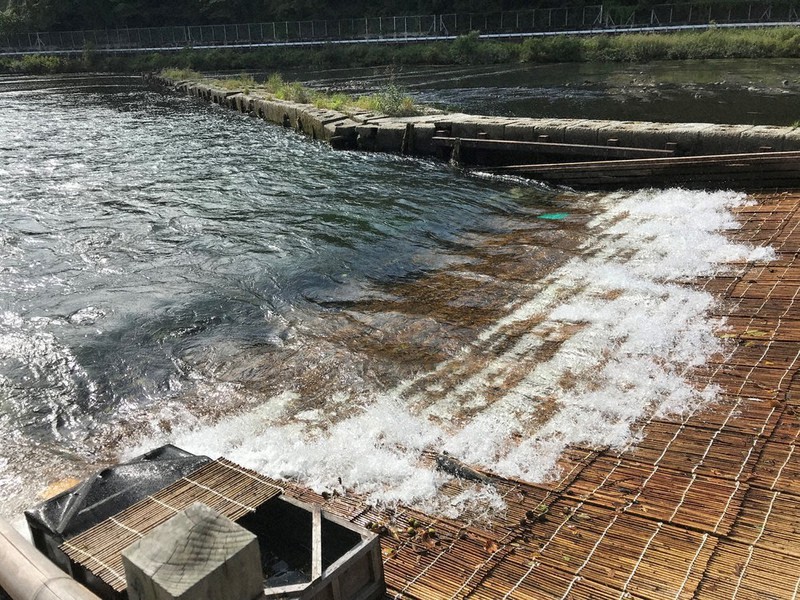 日本一とPRする白鷹町の道の駅「白鷹ヤナ公園あゆ茶屋」のヤナ場=白鷹町で2021年9月30日午後1時23分、野呂賢治撮影