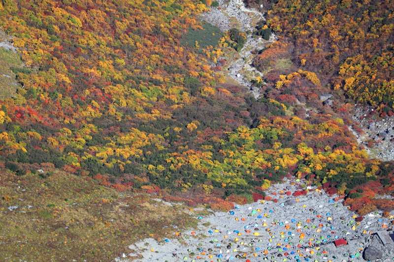 山岳紅葉の見ごろピーク 北アルプス・涸沢カール 今年は早め 毎日新聞