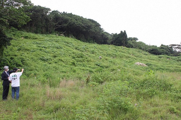 沖縄県名護市辺野古で進む基地新設のために使われる土砂の採掘候補地。付近には沖縄戦戦没者の遺骨が今も埋まっている可能性が高い=沖縄県糸満市で2021年6月21日、栗原俊雄撮影