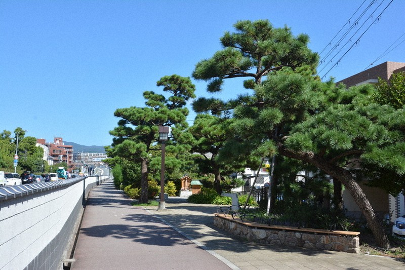 第10回みどりのまちづくり賞でランドスケープデザイン部門で大阪府知事賞を受賞した松原公園=みどりのまちづくり賞事務局提供